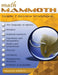 Math Mammoth Grade 7 Review Workbook by Maria Miller