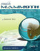 Math Mammoth Grade 4 Skills Review Workbook Answer Key by Maria Miller