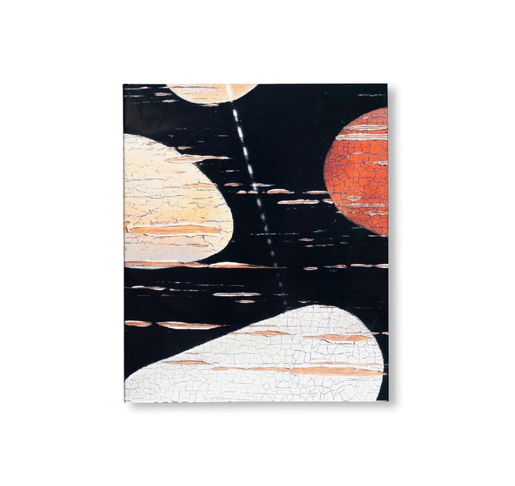 The Last Things by John Lehr