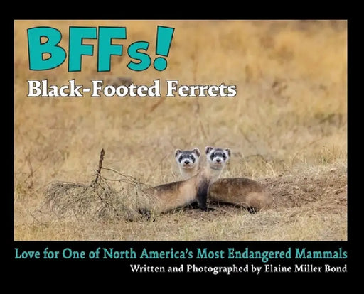 BFFs! Black-Footed Ferrets: Love for One of North Americas Most Endangered Mammals by Elaine Miller Bond, Kate Jordahl, Geir Jordahl