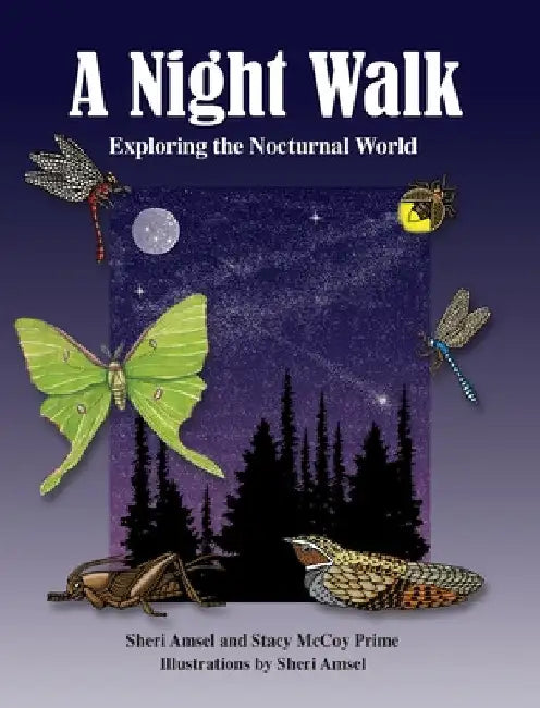 A Night Walk: Exploring the Nocturnal World by Sheri Amsel
