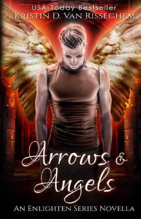 Arrows & Angels by Kristin D. Van Risseghem
