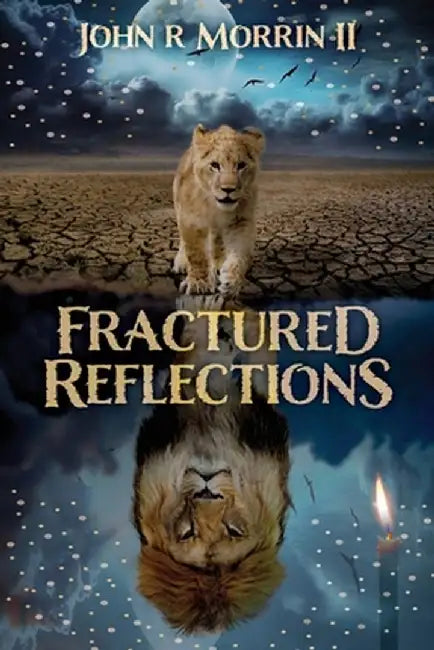 Fractured Reflections by John Morrin