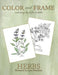 Color and Frame: Herbs by Lynn Melchiori