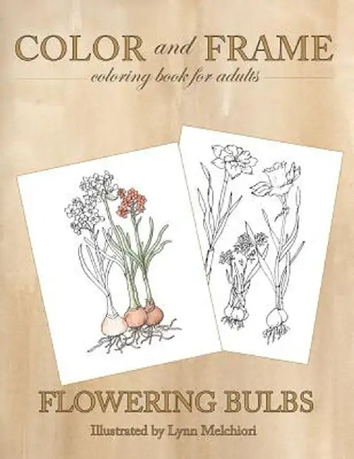 Color and Frame: Flowering Bulbs by Lynn Melchiori