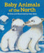 Baby Animals of the North by Katy Main