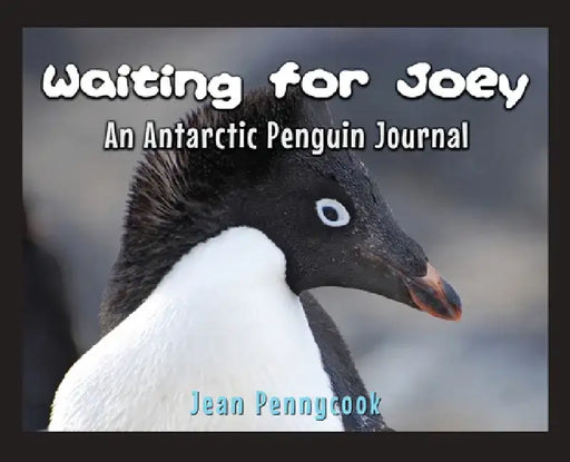 Waiting for Joey: Studying Penguns in Antarctica by Jean Pennycook