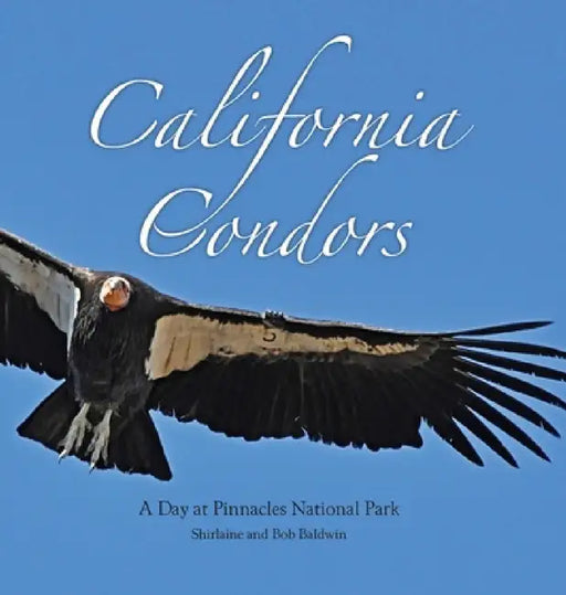 California Condors: A Day at Pinnacles National Park by Shirlaine Baldwin, Bob Baldwin