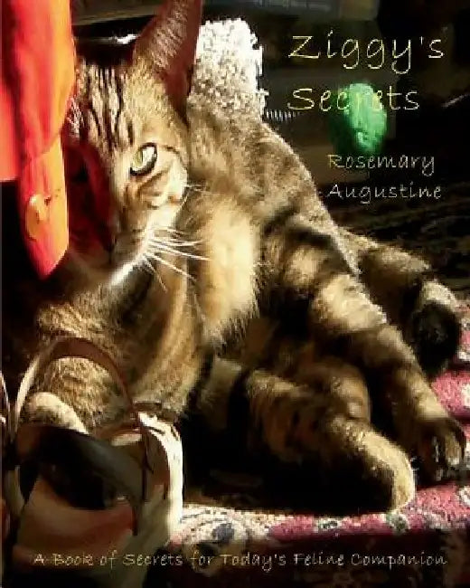 Ziggy's Secrets: An Internet Password Keeper by Rosemary Augustine