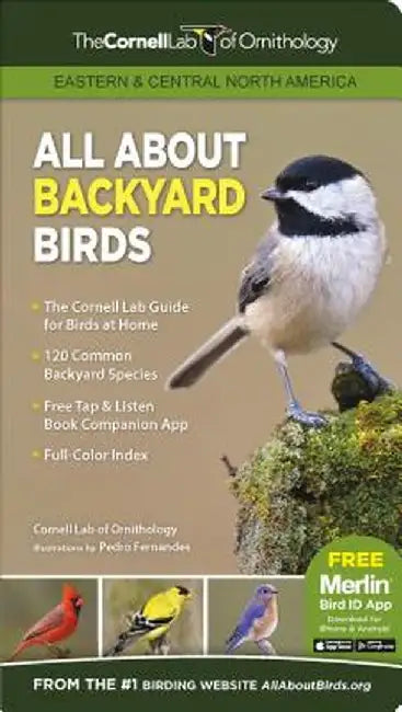 All about Backyard Birds: Eastern & Central North America by Pedro Fernandes