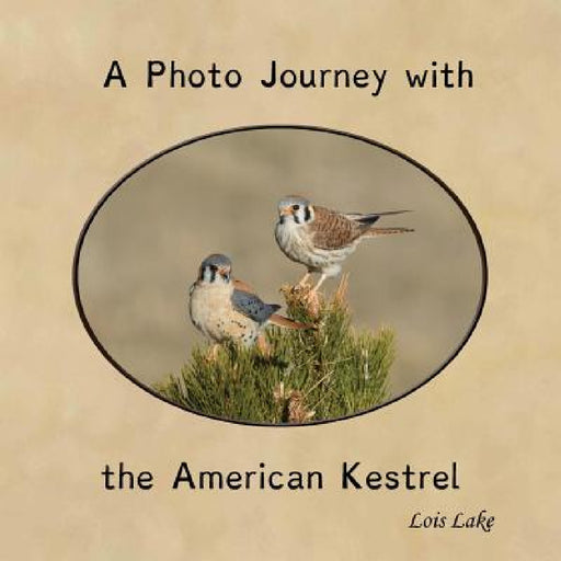 A Photo Journey with the American Kestrel by Lois Lake