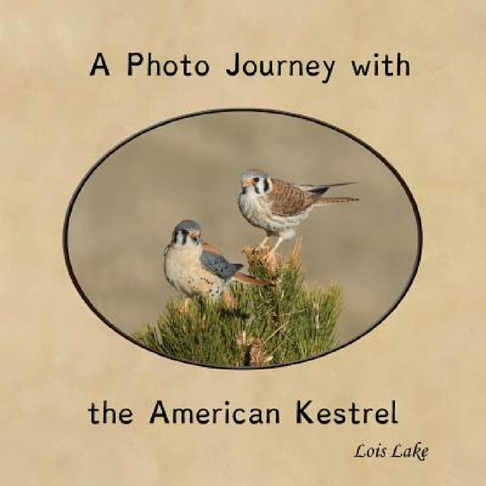 A Photo Journey with the American Kestrel by Lois Lake