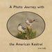 A Photo Journey with the American Kestrel by Lois Lake