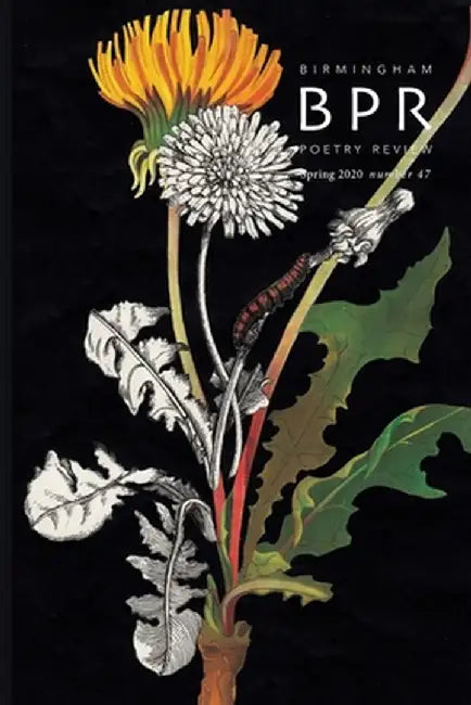 Birmingham Poetry Review by Adam Vines