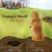 Paxton's World On Fire by Margie Harding, Jennifer Phipps