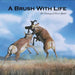 A Brush With Life: The Paintings of Bruce Speidel by Bruce Speidel