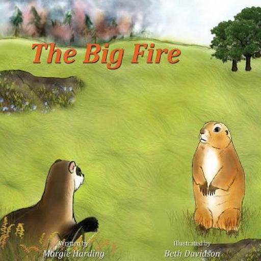 The Big Fire by Margie Harding, Beth Davidson