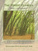 The Forest Flaneur: "Touch ... And Be Touched" by Rosalinda Ruiz Scarfuto
