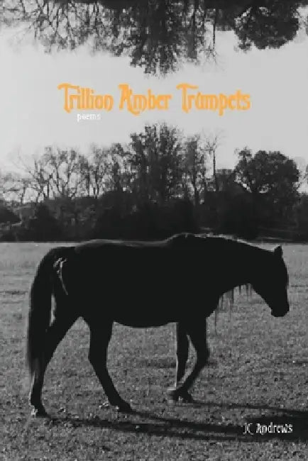 Trillion Amber Trumpets by Jc Andrews