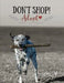 Don't Shop, Adopt! - South Canterbury by Aimee Duff