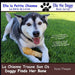 La Petite Chienne Trouve Son Os (Doggy Finds Her Bone) by Jayne Flaagan, Jayne Flaagan