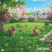 Backyard Friends in Springtime by Todd Spicer