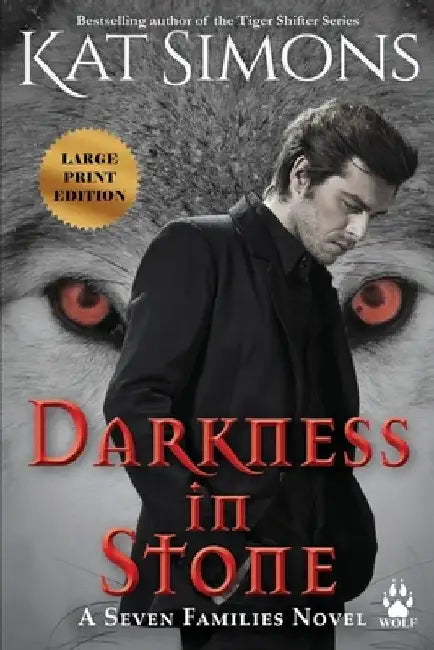 Darkness in Stone: Large Print Edition by Kat Simons