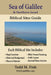 Sea of Galilee & Northern Israel Biblical Sites Guide by Todd M. Fink