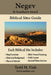 Negev & Southern Israel Biblical Sites Guide by Todd M. Fink