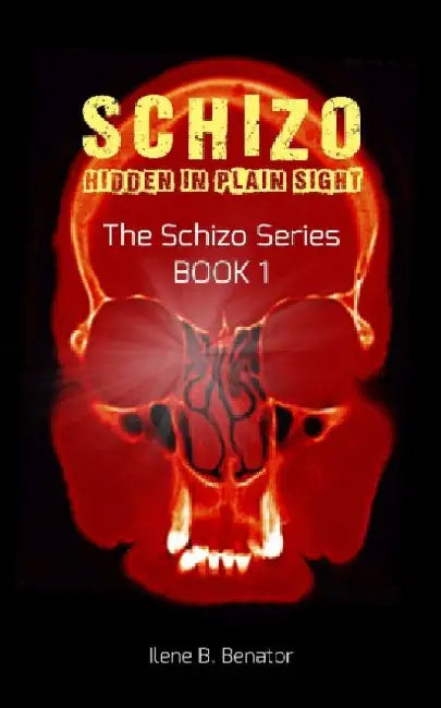 Schizo: Hidden in Plain Sight by Ilene B. Benator