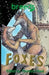 Breeds: Foxes by Thurston Howl, Faukx