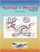 A Visit with Norman F. Pettingill Revisited by Schroeter, Rodney