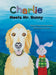Charlie Meets Mr. Bunny by Anne Thomas-Newman, Cindy Nedved