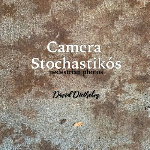 Camera Stochastikós: pedestrian photos by David Diethelm
