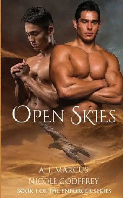 Open Skies by A. J. Marcus
