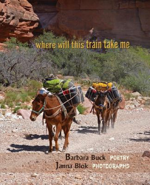 where will this train take me by Barbara Buck, Janna Blok