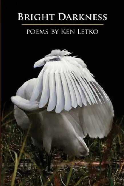 Bright Darkness by Ken Letko
