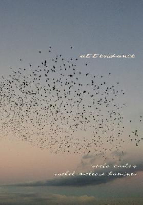 Attendance by Rocío Carlos, Rachel McLeod Kaminer