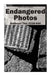 Endangered Photos: Railroad Ties #334-444 by Mark Dahle