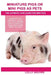 Miniature Pigs Or Mini Pigs as Pets: Miniature Pigs Breeding, Buying, Care, Cost, Keeping, Health, Supplies, Food, Rescue and More Included! The Ultim by Lolly Brown