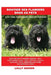 Bouvier des Flanders Dogs as Pets: Bouvier des Flanders General Info, Purchasing, Care, Cost, Keeping, Health, Supplies, Food, Breeding and More Inclu by Lolly Brown