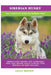Siberian Husky: Siberian Husky General Info, Purchasing, Care, Cost, Keeping, Health, Supplies, Food, Breeding and More Included! The by Lolly Brown