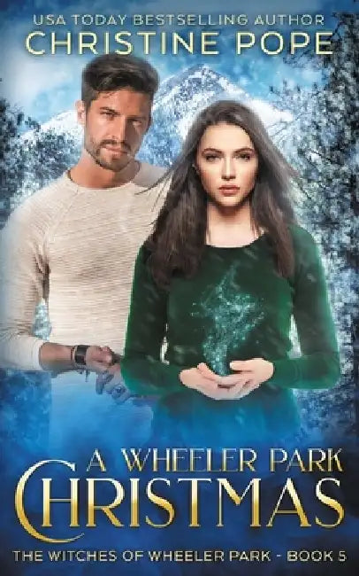 A Wheeler Park Christmas by Christine Pope