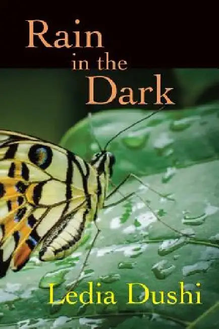 Rain in the Dark by Robert Elsie