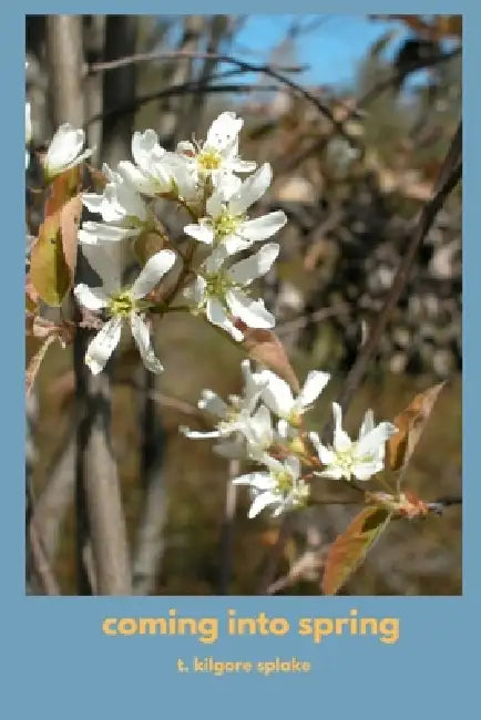 coming into spring by T. Kilgore Splake