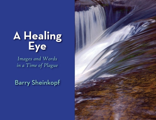 A Healing Eye: Images and Words in a Time of Plague by Barry Sheinkopf