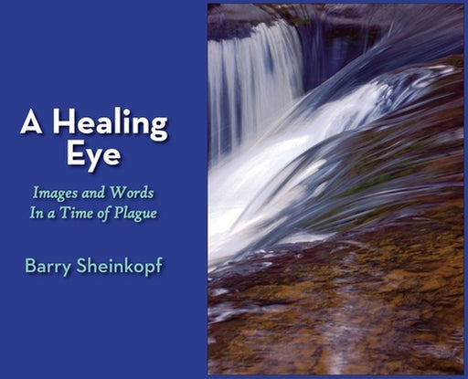 A Healing Eye: Images and Words in a Time of Plague by Barry Sheinkopf