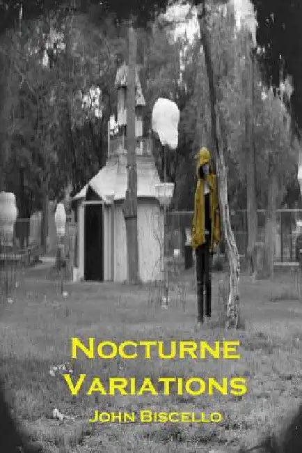 Nocturne Variations by John Biscello