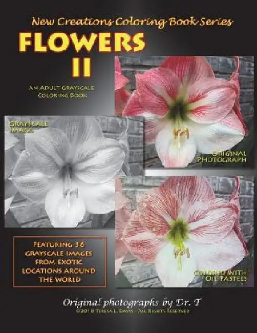 New Creations Coloring Book Series: Flowers II by Teresa Davis