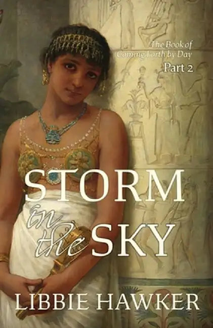 Storm in the Sky by Libbie Hawker